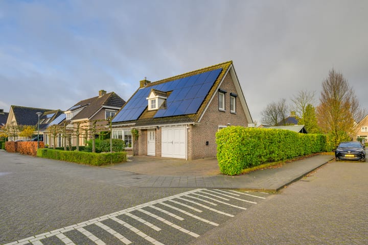 Foto 5 van Meerkoet 10