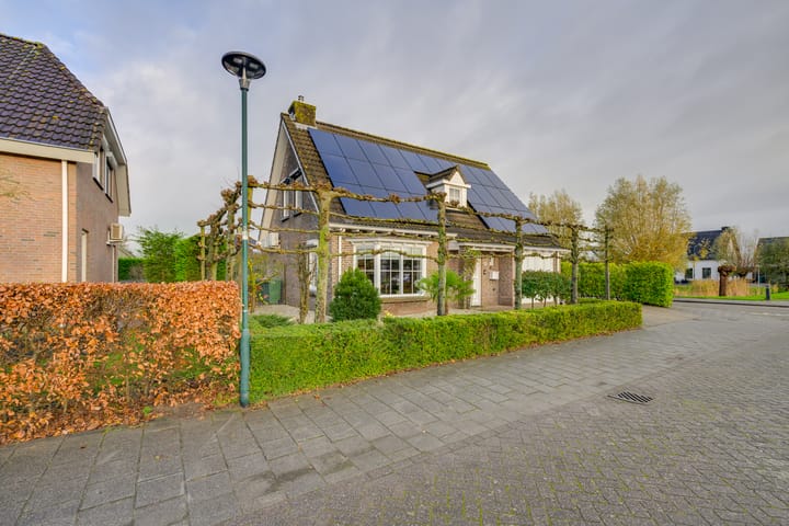 Foto 8 van Meerkoet 10