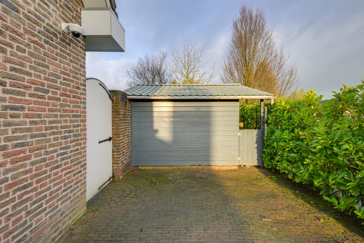 Foto 9 van Meerkoet 10