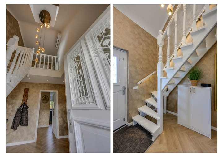 Foto 12 van Meerkoet 10