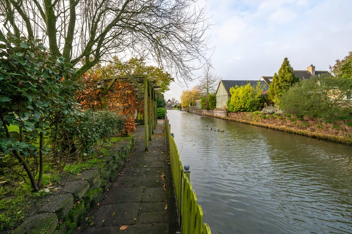 Foto 52 van Meerkoet 10