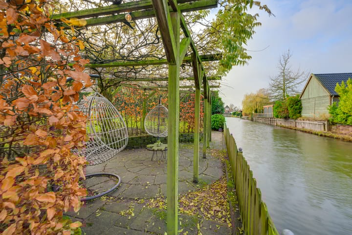 Foto 53 van Meerkoet 10