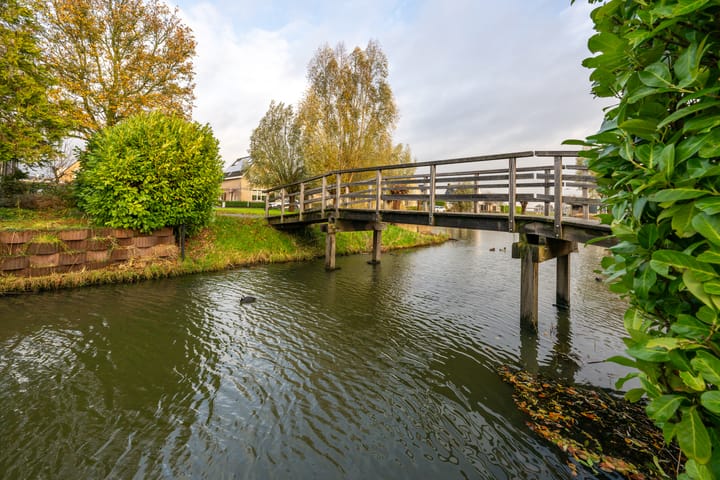 Foto 55 van Meerkoet 10