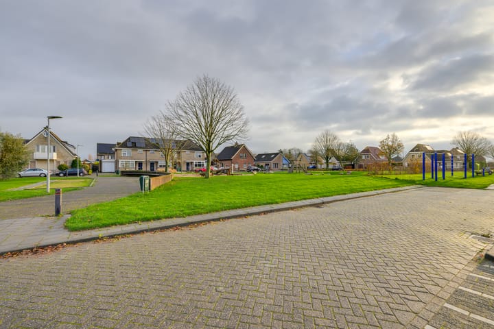 Foto 56 van Meerkoet 10