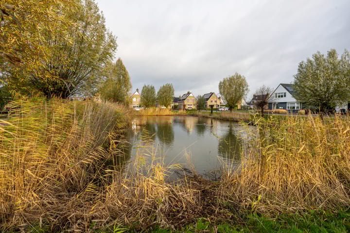 Foto 57 van Meerkoet 10