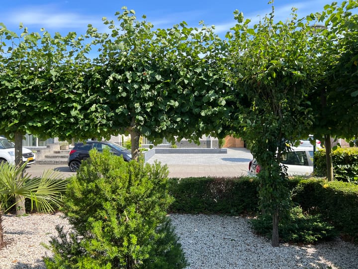 Foto 61 van Meerkoet 10