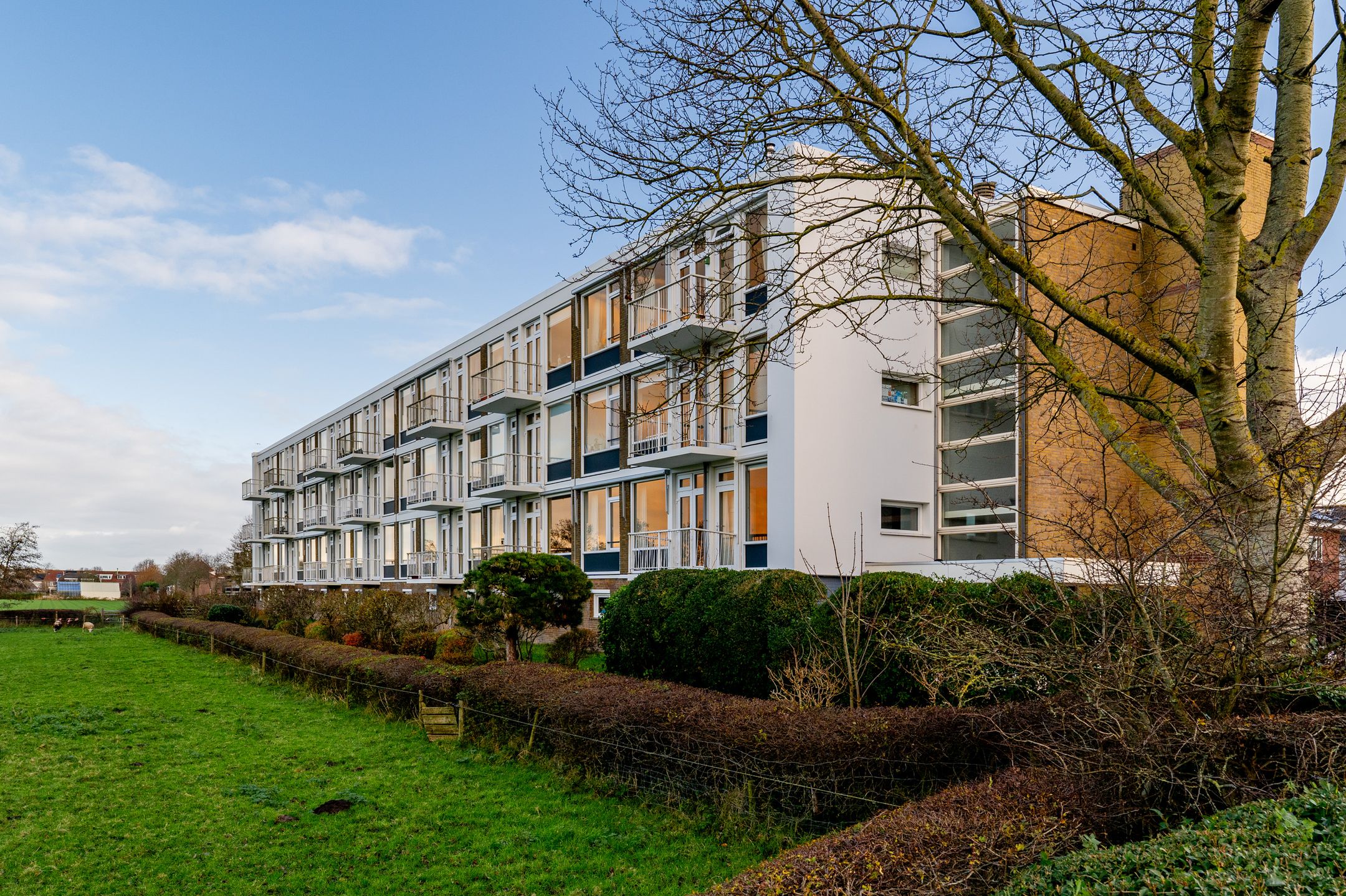 Photo 39 of Westerbaan 1