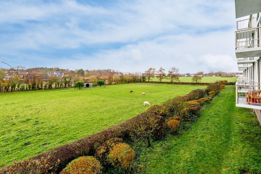 Photo 38 of Westerbaan 1