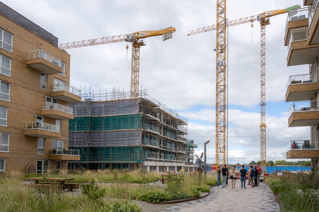 Photo 13 of Mahoniehout 466