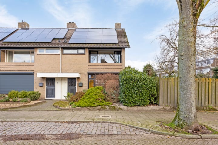 Foto 1 van Rodinstraat 2