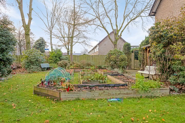 Foto 2 van Rodinstraat 2