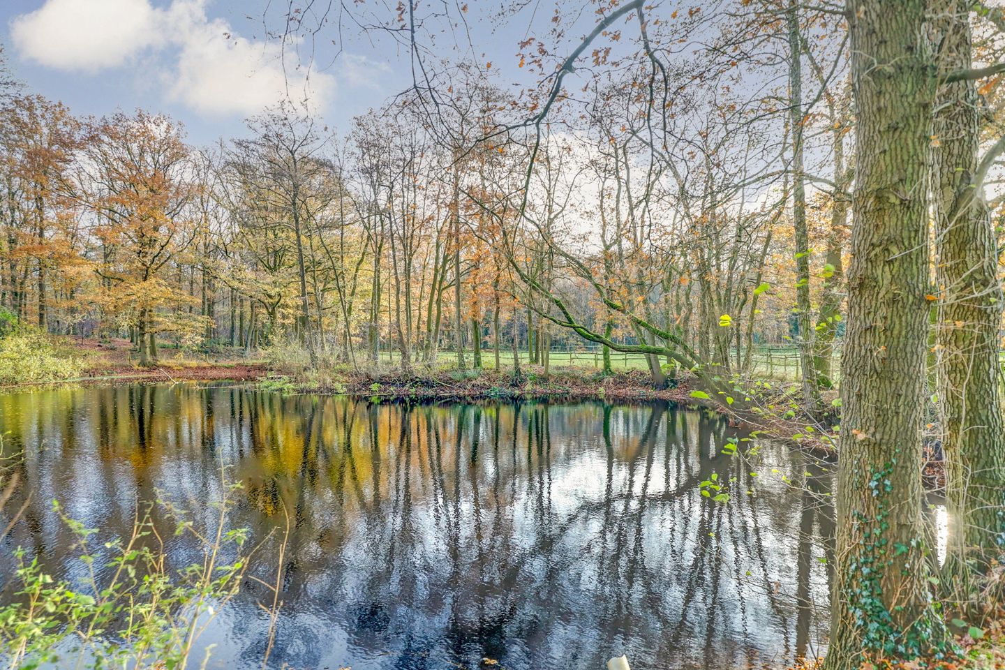 Photo 64 of Graafschedijk 79