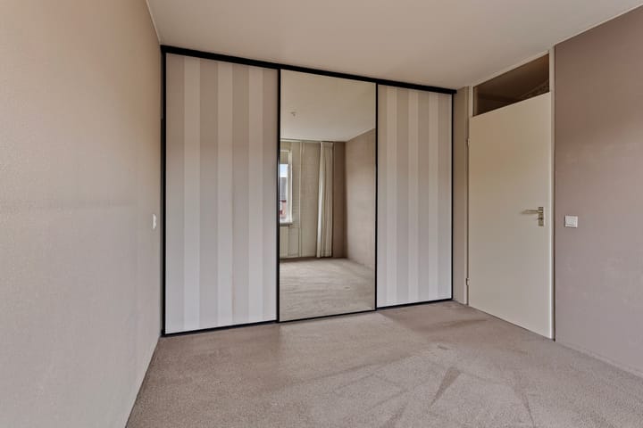 Foto 13 van Witte Klaver 13