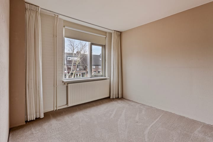 Foto 12 van Witte Klaver 13