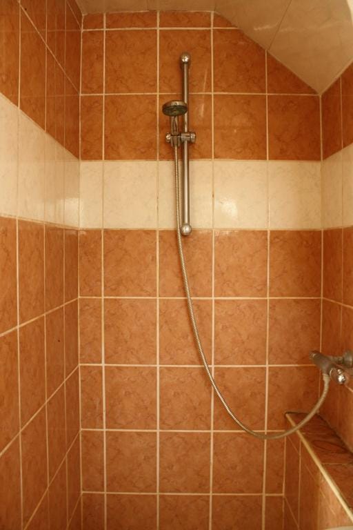 Foto 15 van Bornerbroeksestraat 124