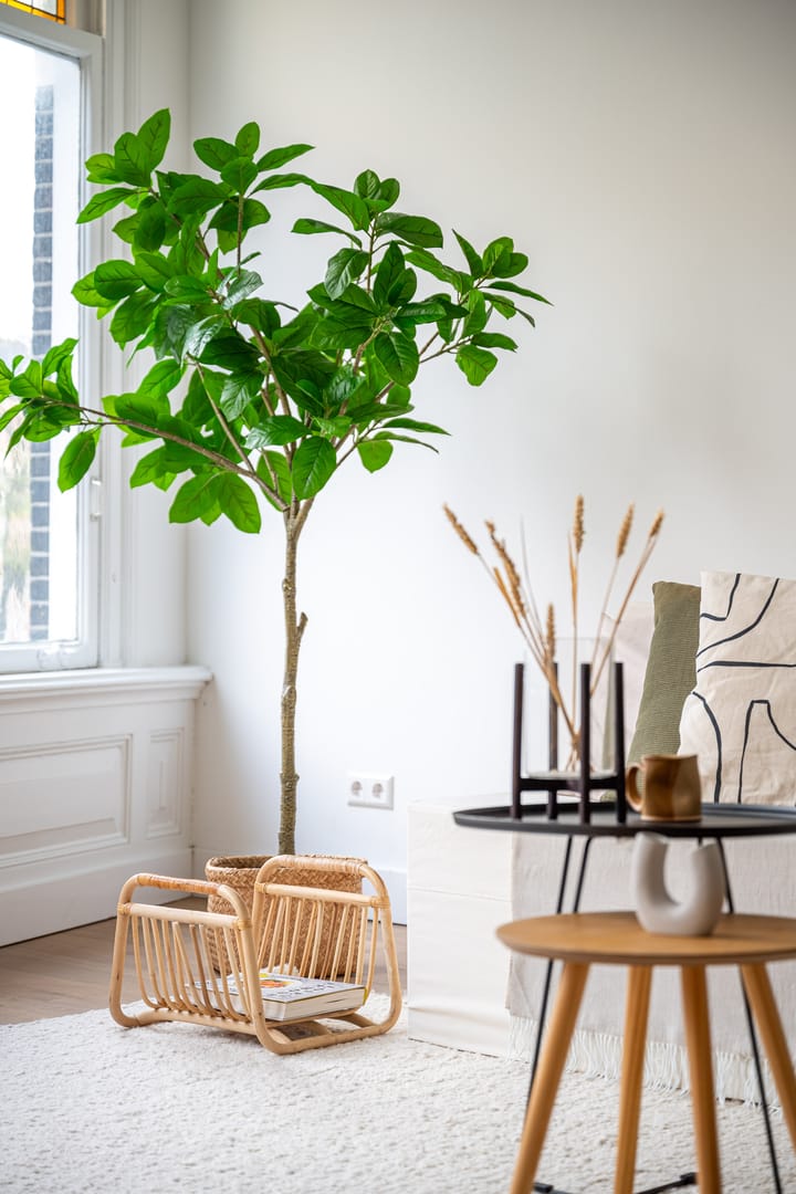 Foto 4 van 1e Middellandstraat 80-B