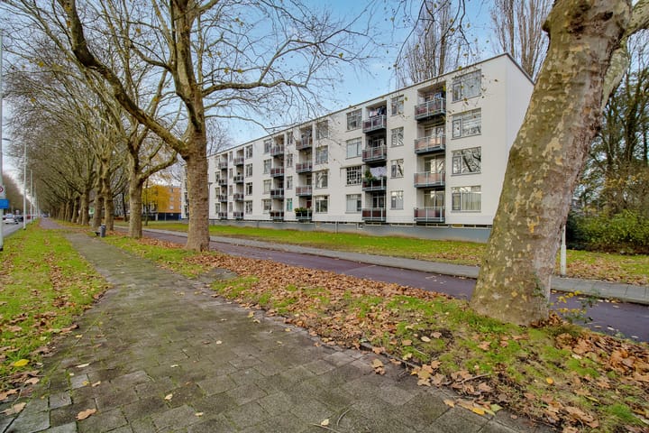 Foto 27 van Blaauwstraat 84