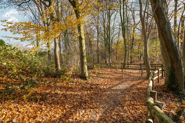 Foto 78 van Dorpsstraat 45