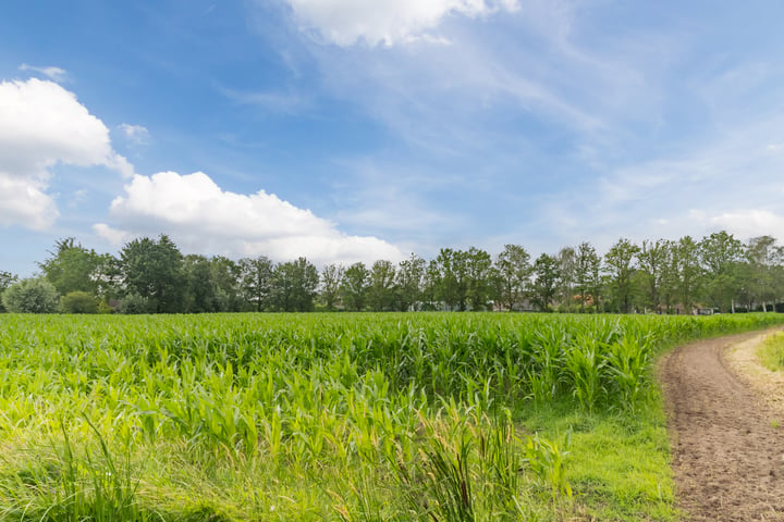 Bekijk foto 50 van Bernhardshoeve 18