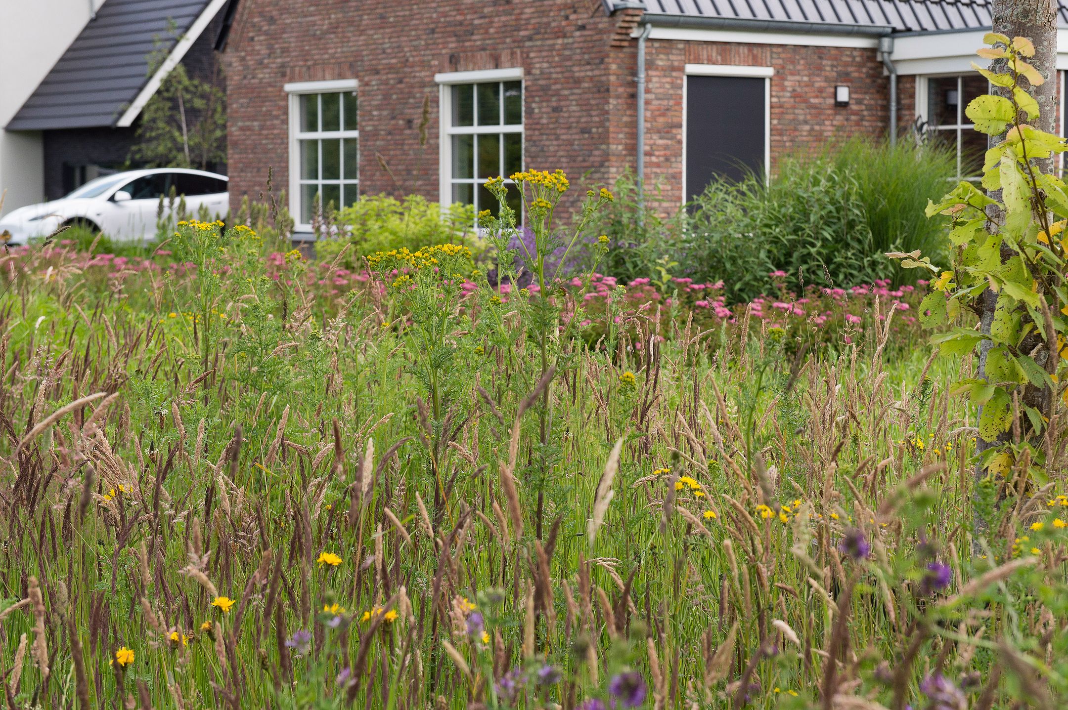 Foto 12 van De Es, kavel 2.4