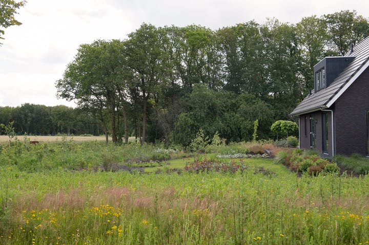 Foto 5 van De Es, kavel 2.9