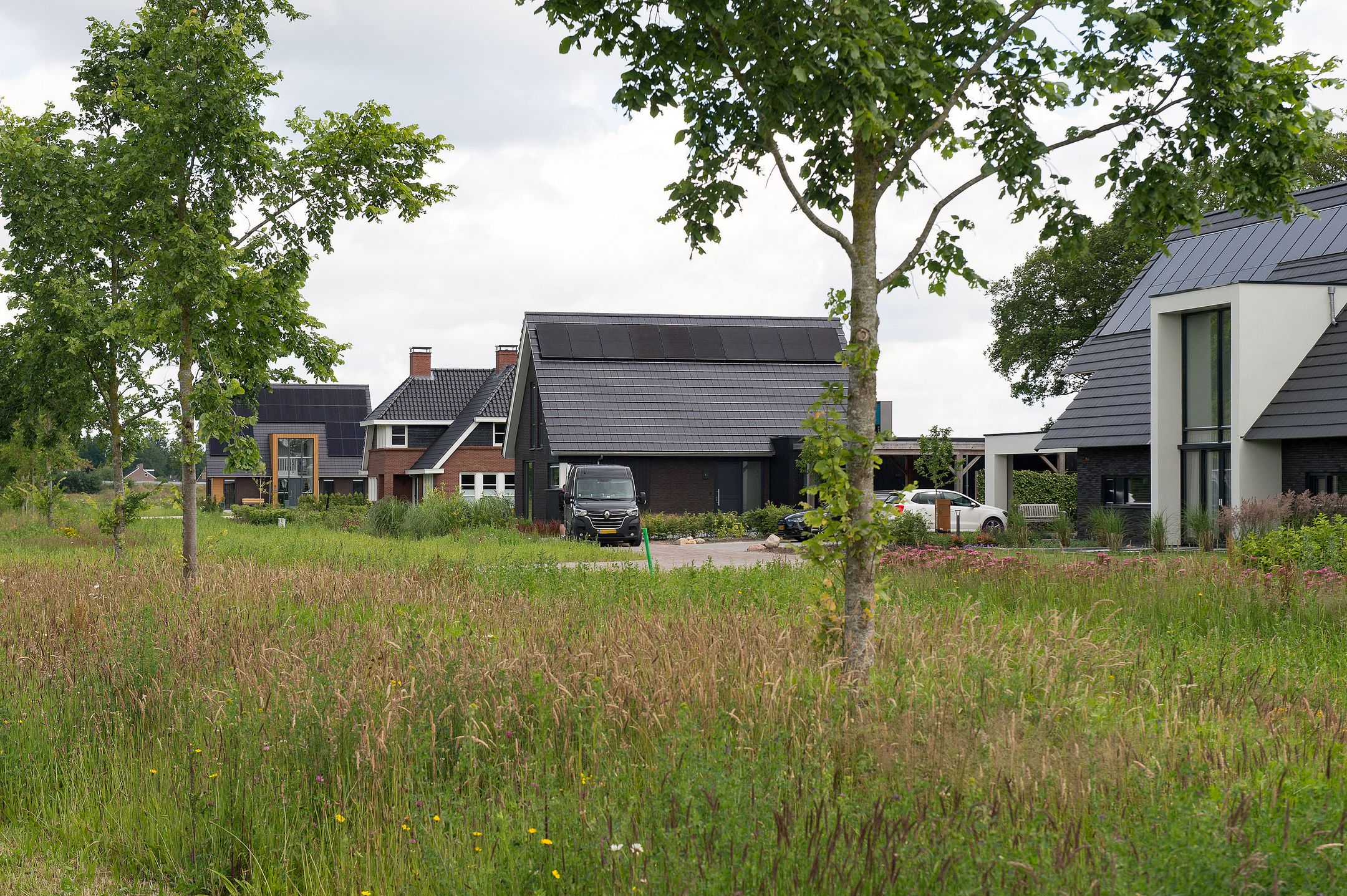 Foto 9 van De Es, kavel 2.9