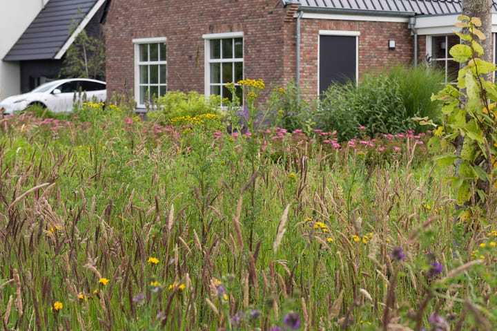 Foto 12 van De Es, kavel 2.9