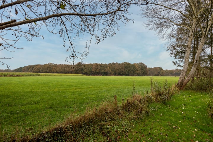 View photo 50 of Ringlaan 27