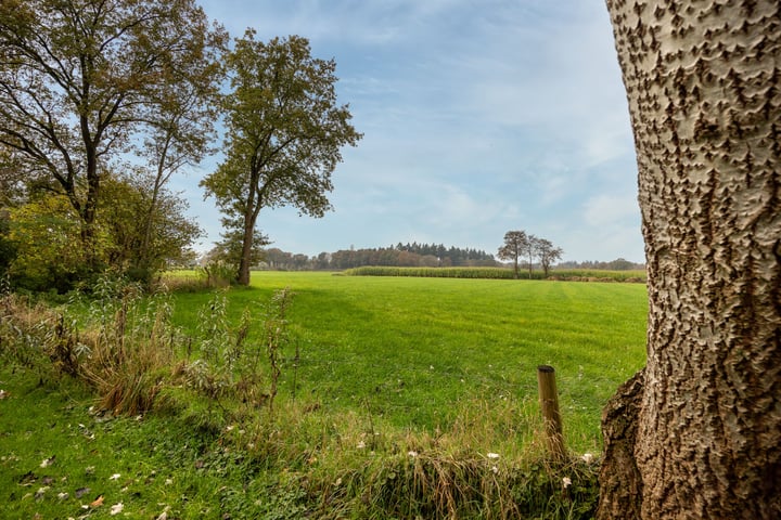 Bekijk foto 51 van Ringlaan 27