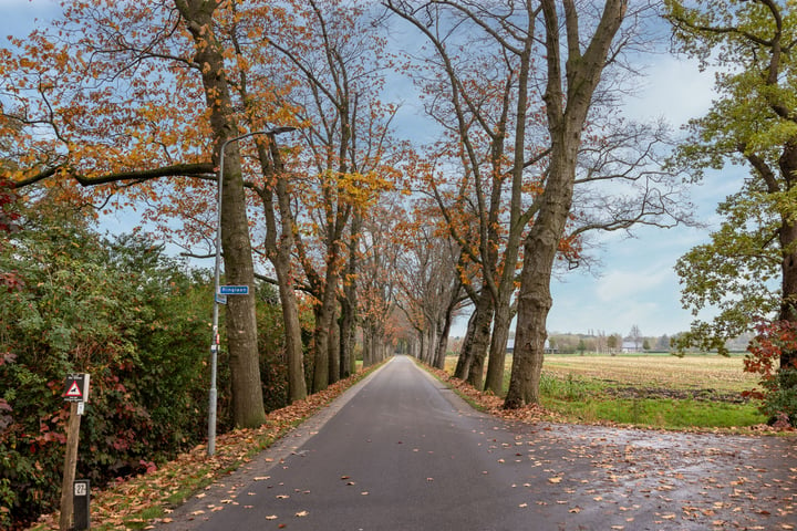 Bekijk foto 56 van Ringlaan 27