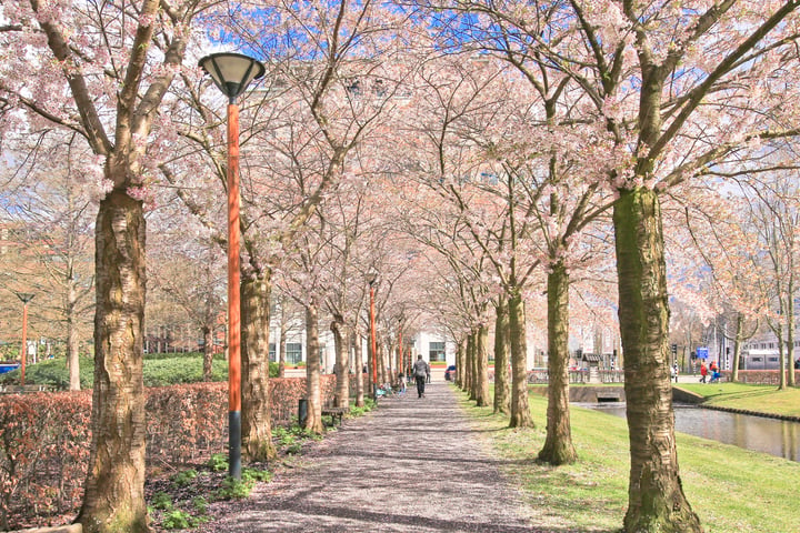 Bekijk foto 32 van Rembrandtweg 176