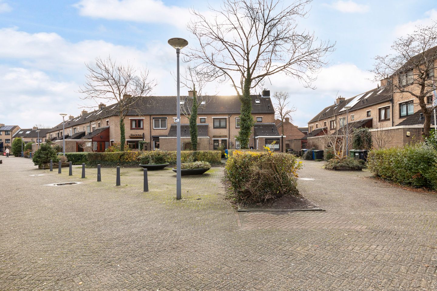 Foto 1 van Lijster 81