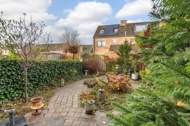 Foto 3 van Lijster 81