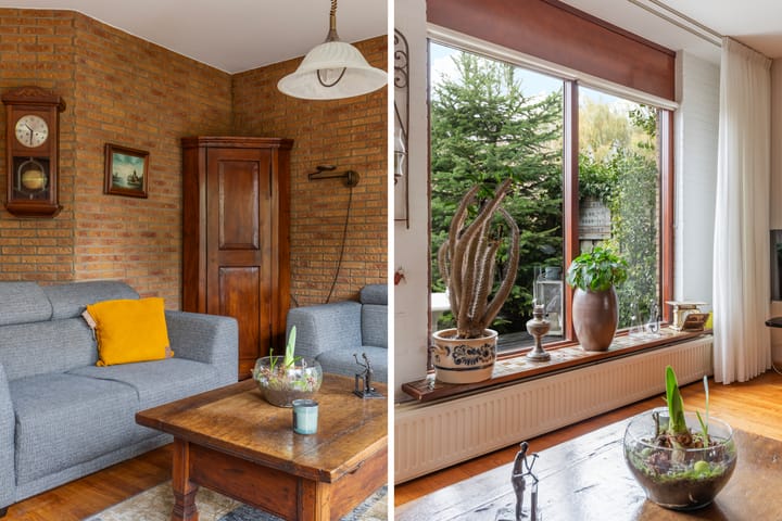 Foto 10 van Lijster 81