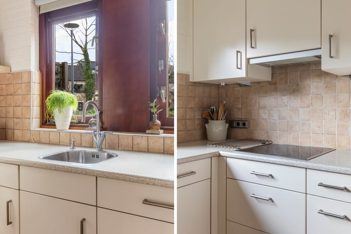 Foto 16 van Lijster 81