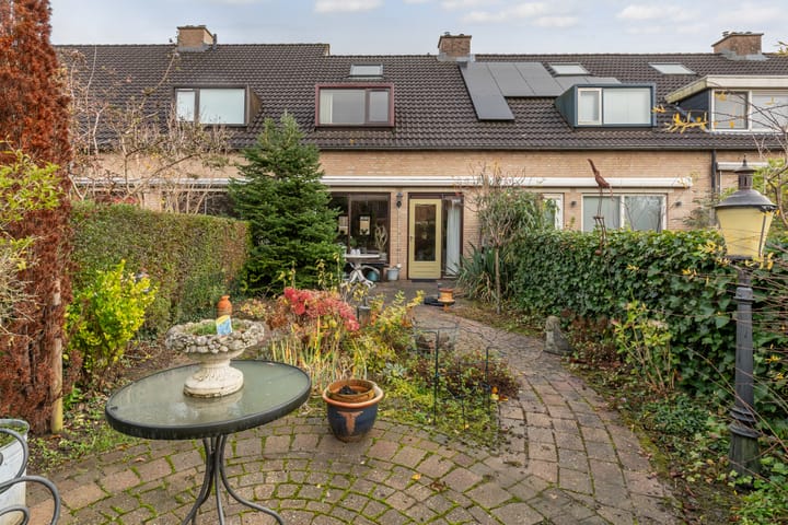 Foto 19 van Lijster 81