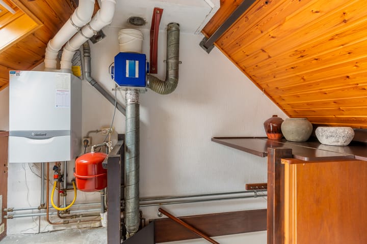 Foto 33 van Lijster 81