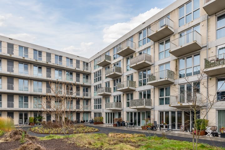 Foto 2 van Lapis Lazuli 13