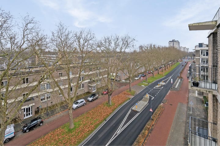 Foto 26 van Hertogin Johannastraat 10