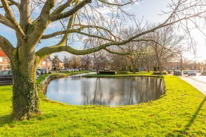 Foto 25 van Hyacintenstraat 4