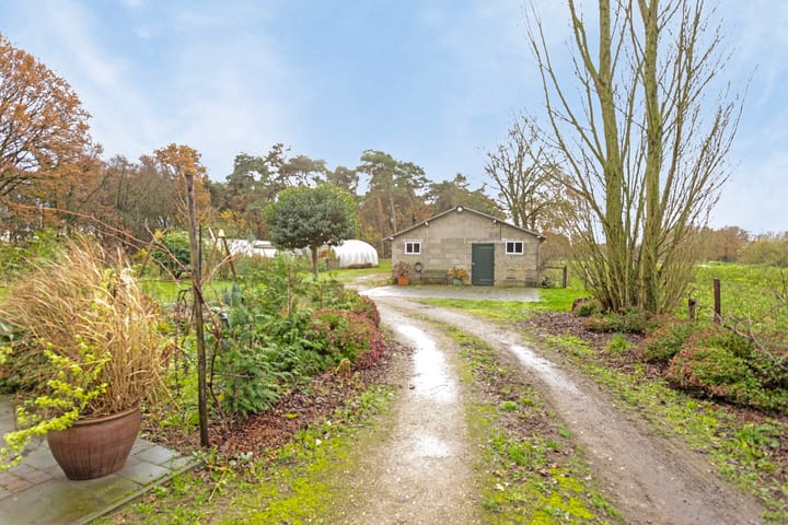 Photo 44 of Rutjensstraat 2