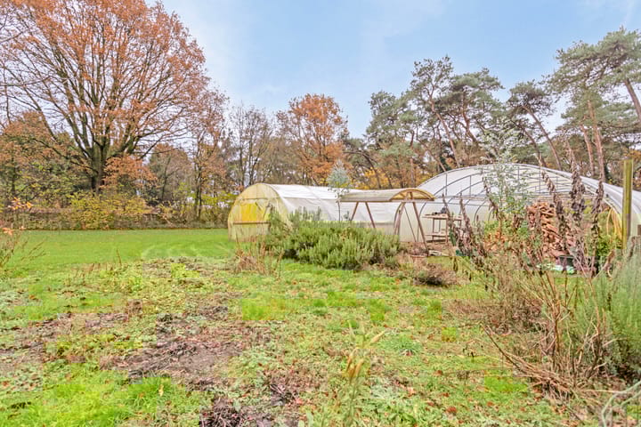 Photo 47 of Rutjensstraat 2