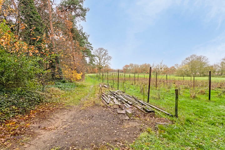 Photo 52 of Rutjensstraat 2