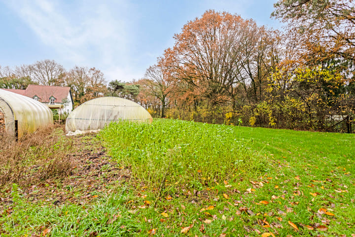 Photo 48 of Rutjensstraat 2