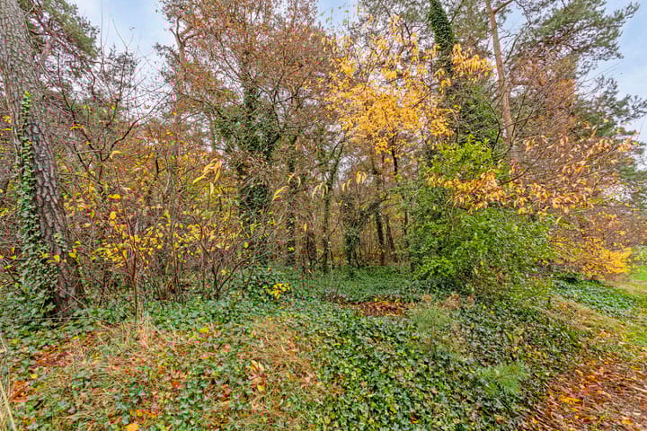 Photo 53 of Rutjensstraat 2