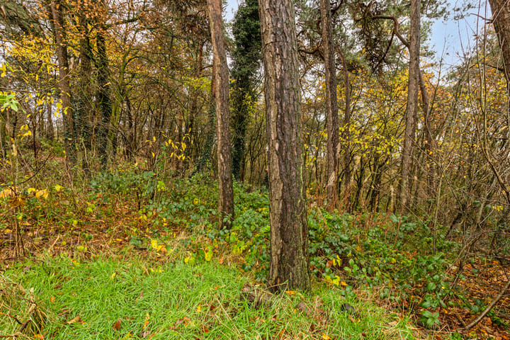 Photo 54 of Rutjensstraat 2