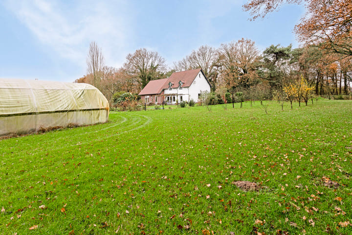 Photo 49 of Rutjensstraat 2