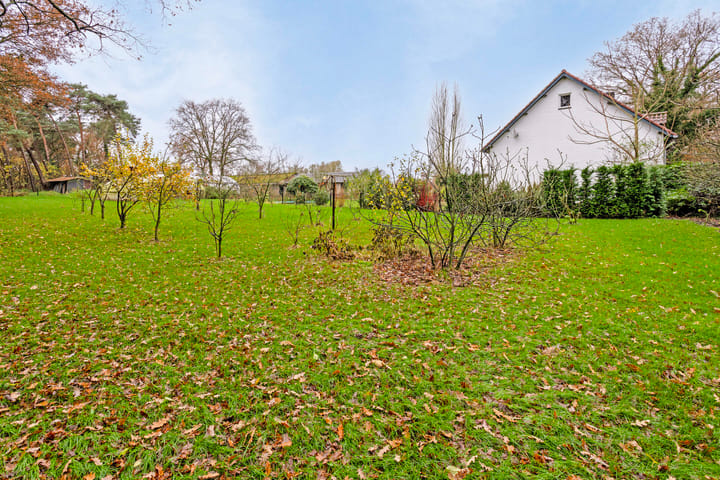 Photo 50 of Rutjensstraat 2