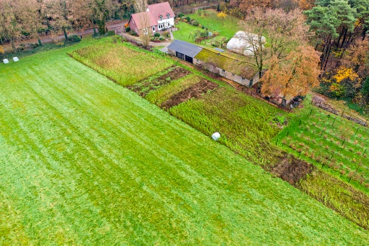 Photo 61 of Rutjensstraat 2