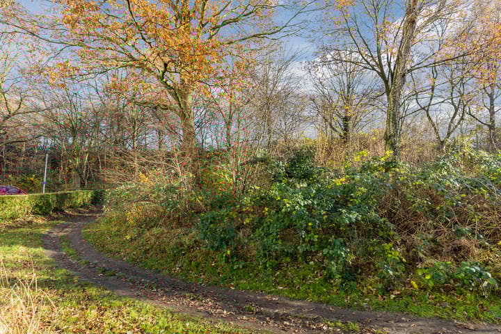 Foto 35 van Grote Houw 172